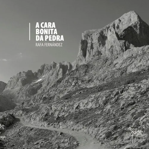 Portada de A cara bonita da pedra